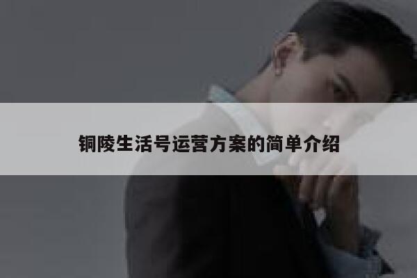 铜陵生活号运营方案的简单介绍
