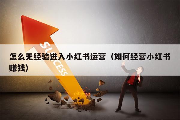 怎么无经验进入小红书运营（如何经营小红书赚钱）