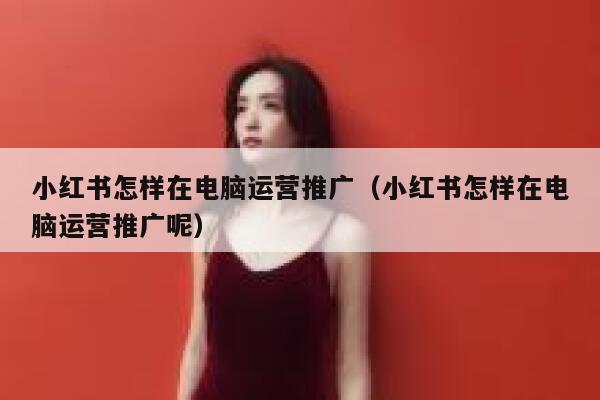 小红书怎样在电脑运营推广（小红书怎样在电脑运营推广呢）