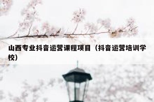 山西专业抖音运营课程项目（抖音运营培训学校）
