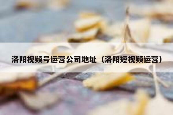 洛阳视频号运营公司地址（洛阳短视频运营）