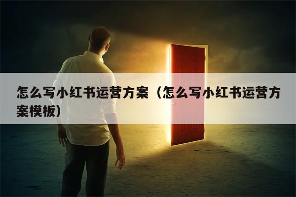 怎么写小红书运营方案（怎么写小红书运营方案模板）