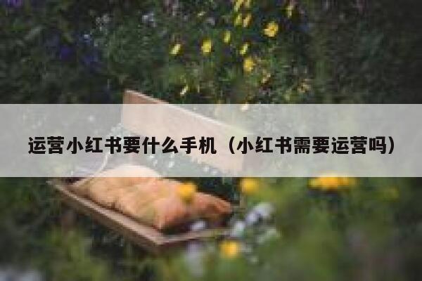 运营小红书要什么手机（小红书需要运营吗）