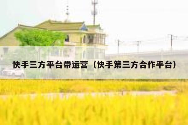 快手三方平台带运营（快手第三方合作平台）