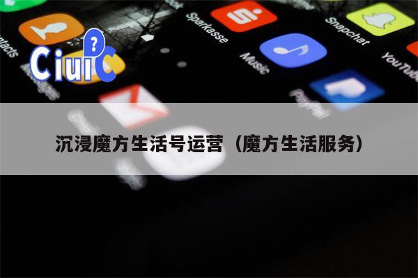 沉浸魔方生活号运营（魔方生活服务）