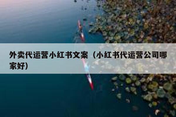 外卖代运营小红书文案（小红书代运营公司哪家好）