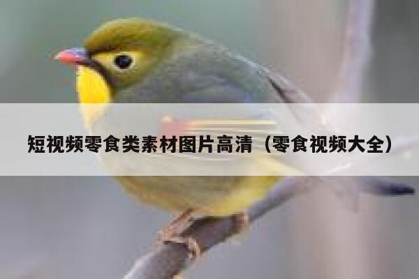 短视频零食类素材图片高清（零食视频大全）