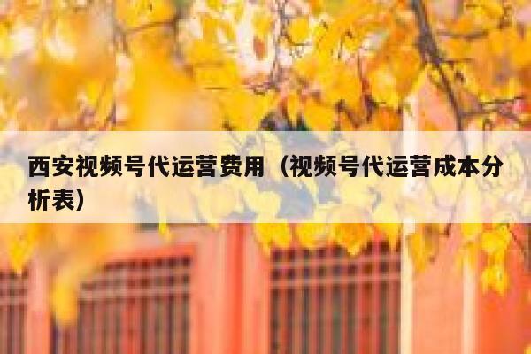 西安视频号代运营费用（视频号代运营成本分析表）