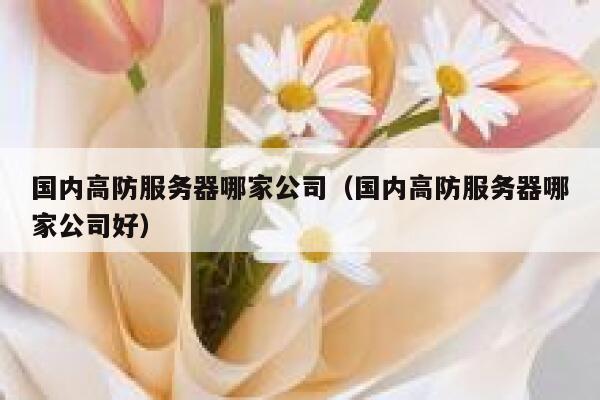 国内高防服务器哪家公司（国内高防服务器哪家公司好）