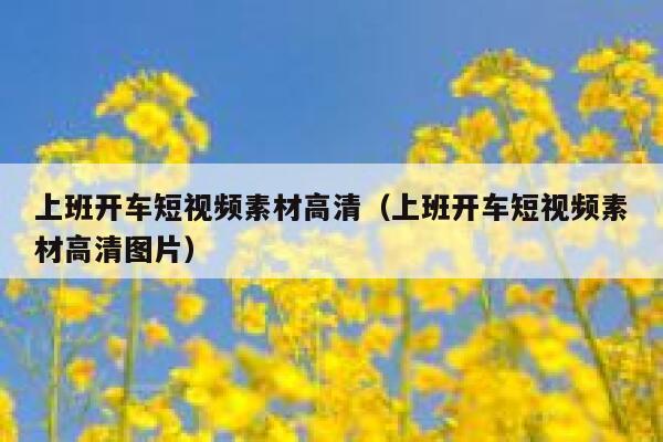 上班开车短视频素材高清（上班开车短视频素材高清图片）