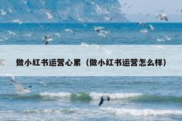 做小红书运营心累（做小红书运营怎么样）