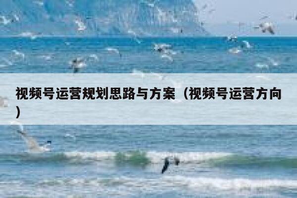 视频号运营规划思路与方案（视频号运营方向）