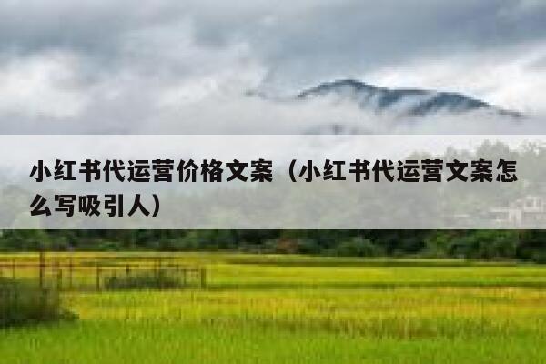 小红书代运营价格文案（小红书代运营文案怎么写吸引人）