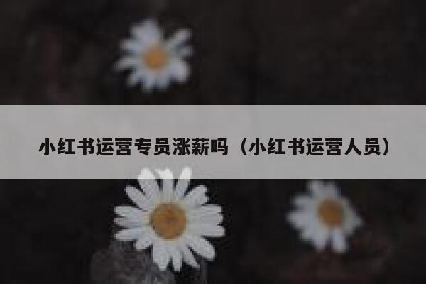小红书运营专员涨薪吗（小红书运营人员）