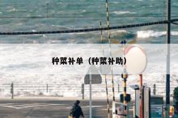 种菜补单（种菜补助）