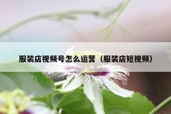 服装店视频号怎么运营（服装店短视频）