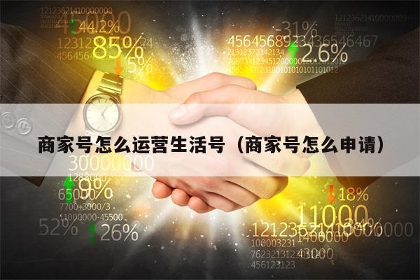 商家号怎么运营生活号（商家号怎么申请）