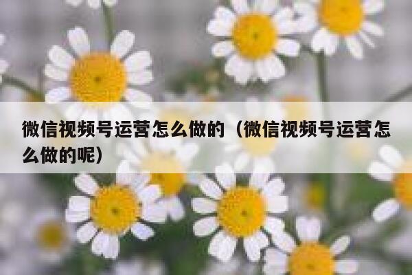微信视频号运营怎么做的（微信视频号运营怎么做的呢）