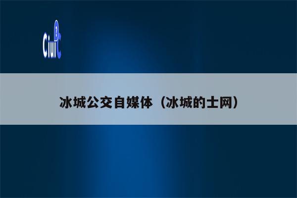 冰城公交自媒体（冰城的士网）