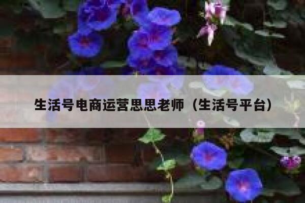 生活号电商运营思思老师（生活号平台）