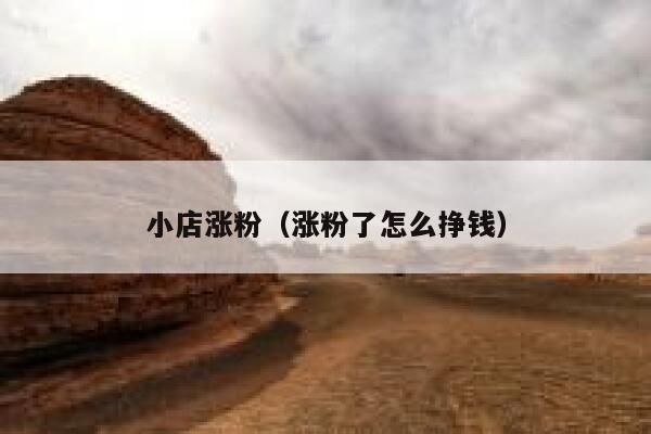 小店涨粉（涨粉了怎么挣钱）