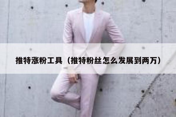 推特涨粉工具（推特粉丝怎么发展到两万）