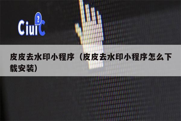 皮皮去水印小程序（皮皮去水印小程序怎么下载安装）