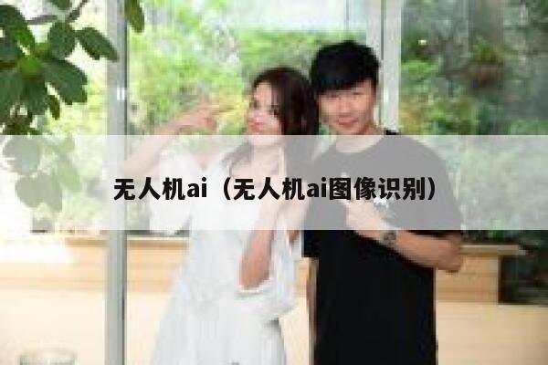 无人机ai（无人机ai图像识别）