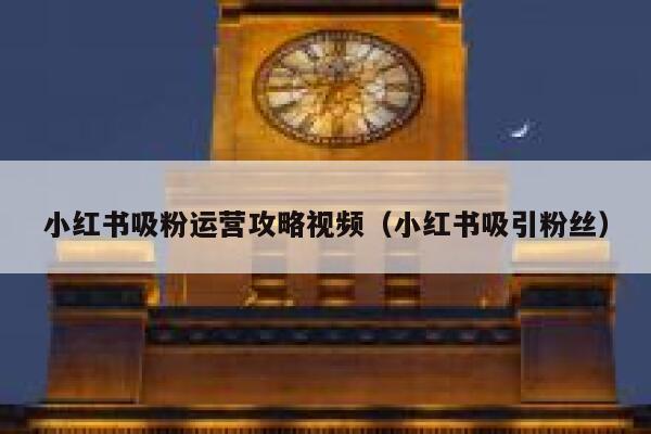 小红书吸粉运营攻略视频（小红书吸引粉丝）