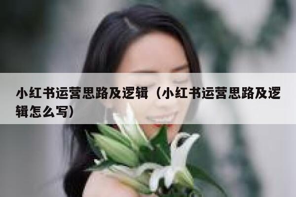 小红书运营思路及逻辑（小红书运营思路及逻辑怎么写）