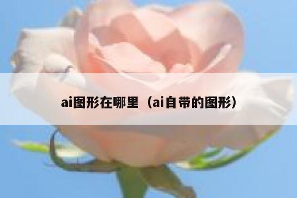 ai图形在哪里（ai自带的图形）