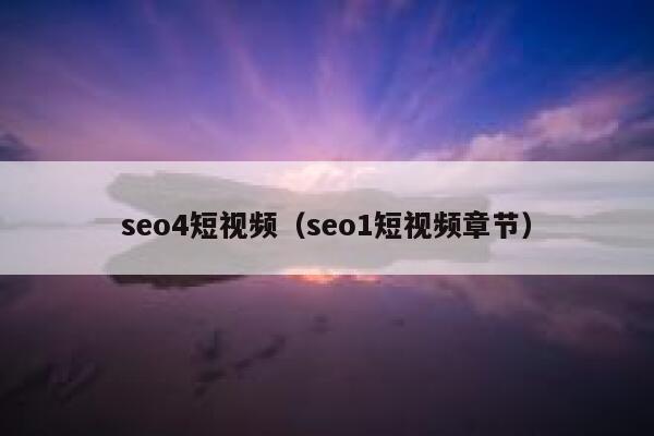 seo4短视频（seo1短视频章节）