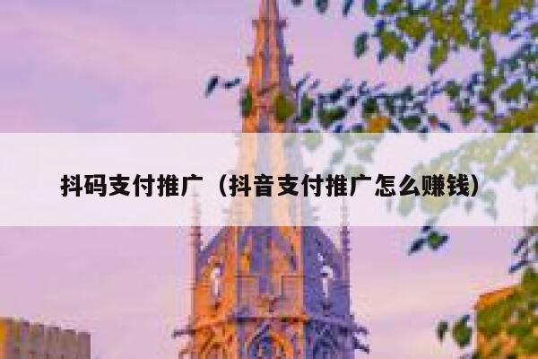 抖码支付推广（抖音支付推广怎么赚钱）
