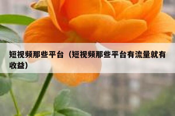 短视频那些平台（短视频那些平台有流量就有收益）