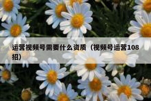 运营视频号需要什么资质（视频号运营108招）