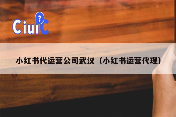 小红书代运营公司武汉（小红书运营代理）