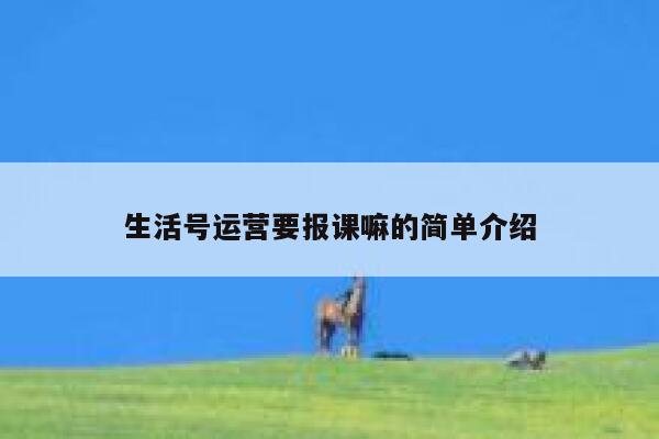 生活号运营要报课嘛的简单介绍