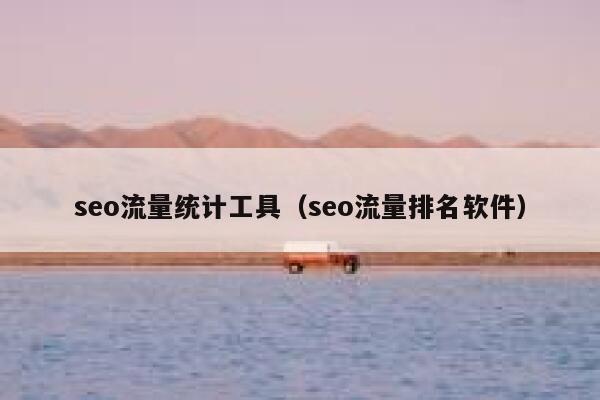 seo流量统计工具（seo流量排名软件）