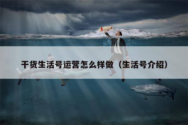 干货生活号运营怎么样做（生活号介绍）