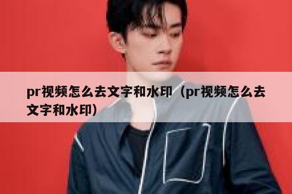 pr视频怎么去文字和水印（pr视频怎么去文字和水印）