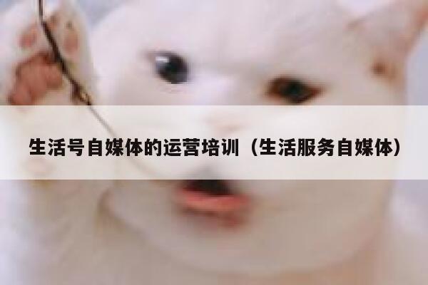 生活号自媒体的运营培训（生活服务自媒体）