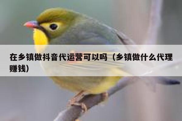 在乡镇做抖音代运营可以吗（乡镇做什么代理赚钱）