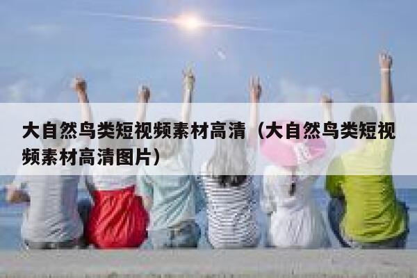大自然鸟类短视频素材高清（大自然鸟类短视频素材高清图片）