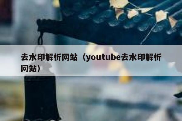 去水印解析网站（youtube去水印解析网站）