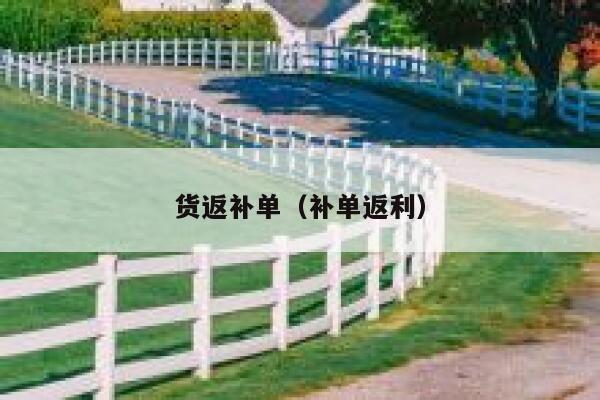货返补单（补单返利）