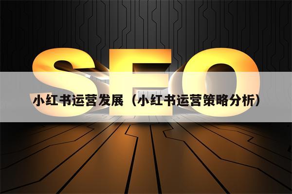 小红书运营发展（小红书运营策略分析）