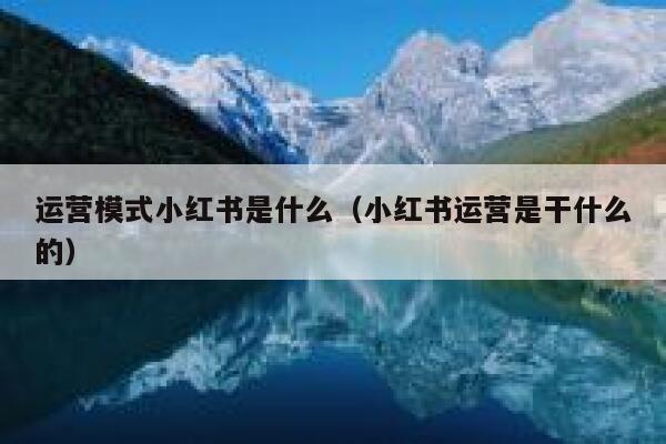 运营模式小红书是什么（小红书运营是干什么的）
