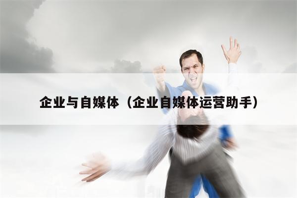 企业与自媒体（企业自媒体运营助手）
