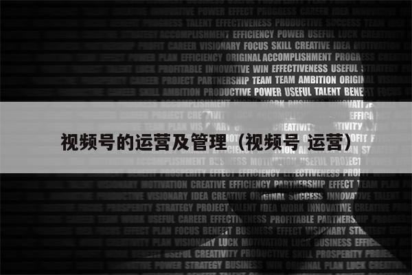 视频号的运营及管理（视频号 运营）
