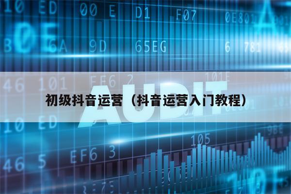 初级抖音运营（抖音运营入门教程）